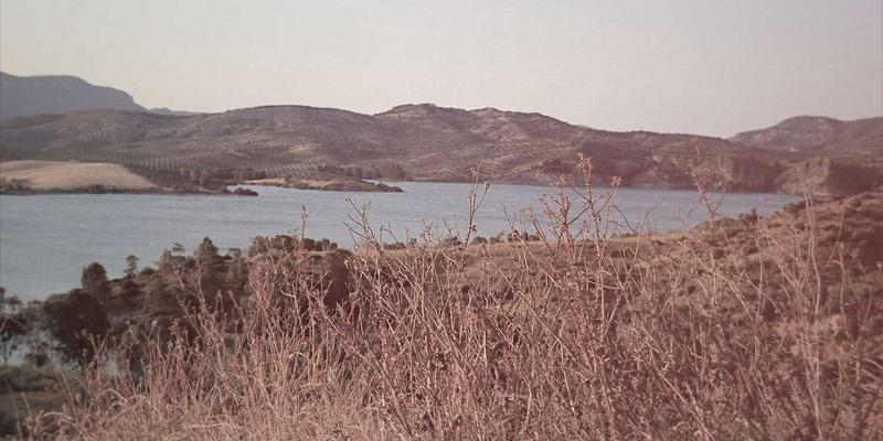 从北京平安56年看中国保险变迁:物流运输与城市配送的风险保障进化史