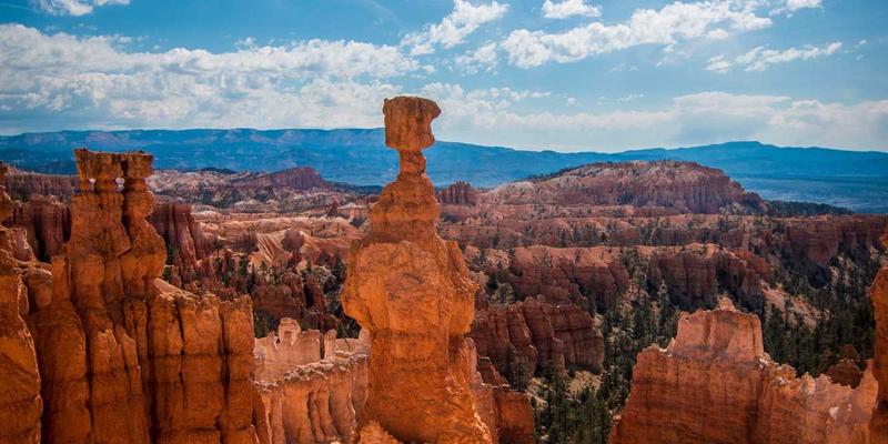 北京平安56年:揭秘其供应链可视化平台如何重塑城市配送的客户协同新范式