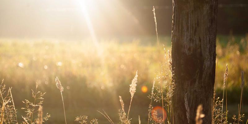 北京平安56年:揭秘其物流科技孵化器如何重塑供应链与仓储管理新范式