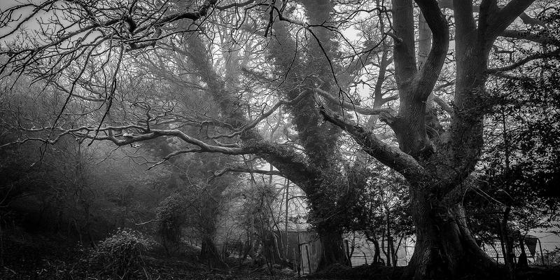 北京平安56年：揭秘其陆运配送服务的“智慧之眼”——实时在途监控与异常预警系统如何重塑物流安全与效率